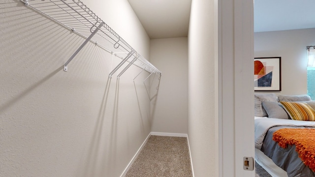 walk in closet with light carpet