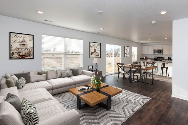 living room featuring dark hardwood / wood-style floors