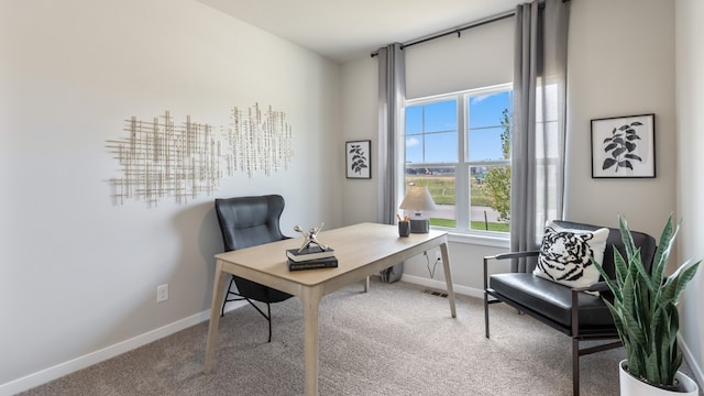 home office with carpet floors