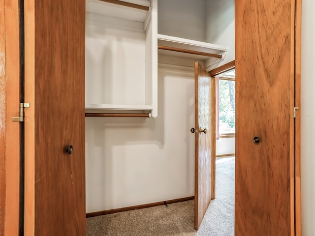 view of closet