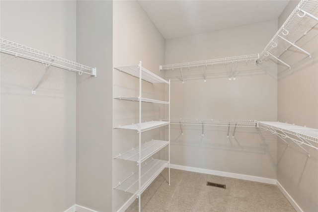 walk in closet featuring carpet flooring