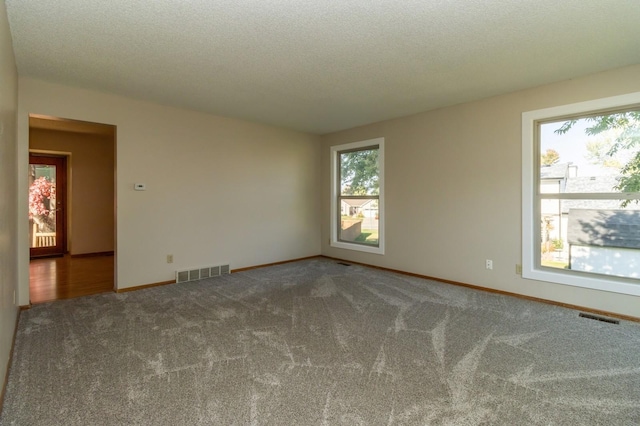 unfurnished room with carpet and a textured ceiling