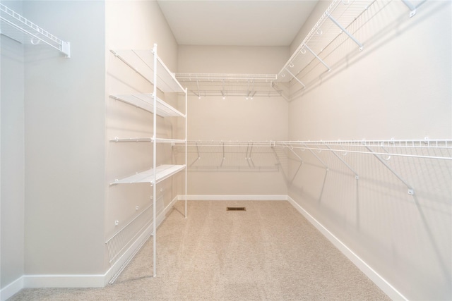 walk in closet featuring carpet floors