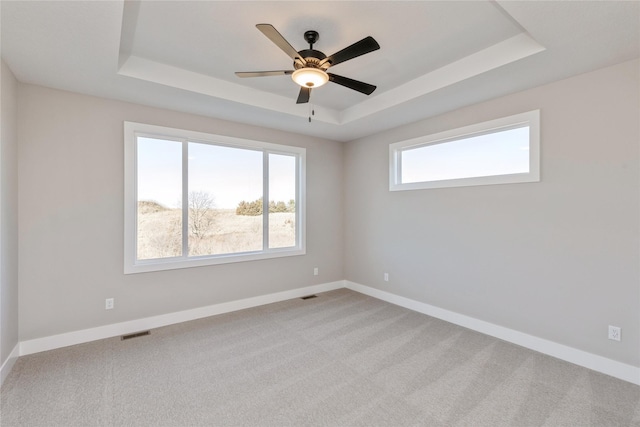 carpeted spare room featuring a tray ceiling and a healthy amount of sunlight