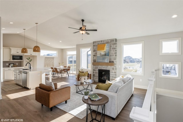 living room with dark hardwood / wood-style floors, a healthy amount of sunlight, a stone fireplace, and sink