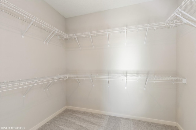 walk in closet with carpet floors