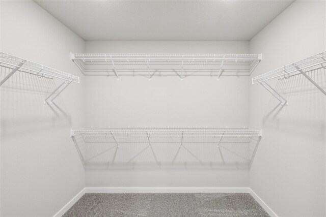 4428 NE 8th St, Ankeny, IA 50021 - spacious closet with carpet