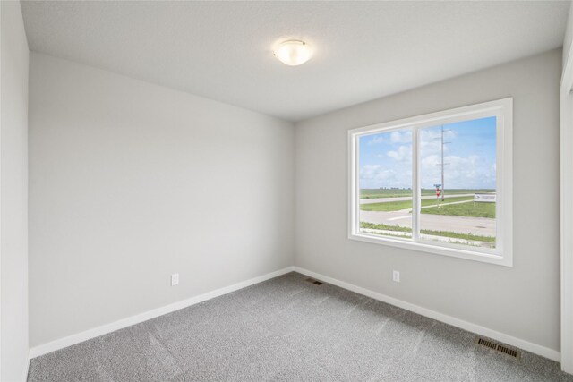 4428 NE 8th St, Ankeny, IA 50021 - carpeted empty room with baseboards