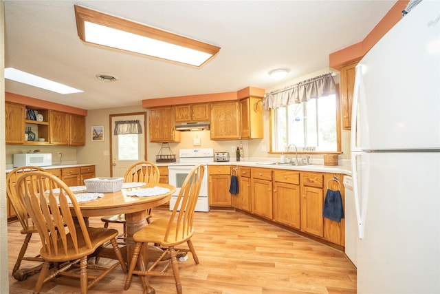 kitchen featuring light hardwood / wood-style flooring, sink, and white appliances