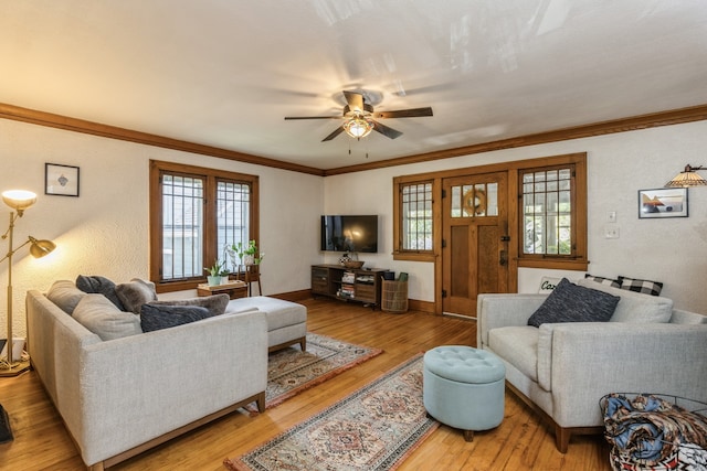 living room featuring light hardwood / wood-style flooring, ornamental molding, ceiling fan, and a healthy amount of sunlight