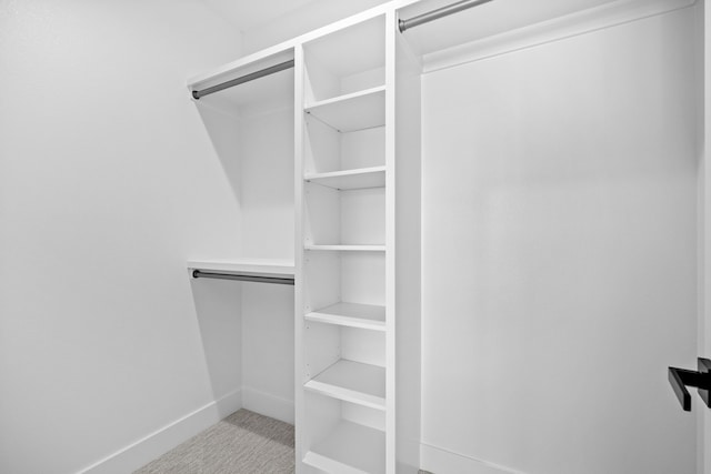 walk in closet with carpet floors