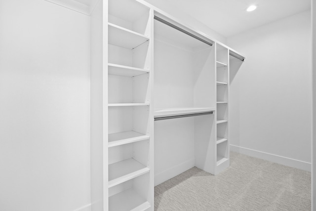 spacious closet with carpet