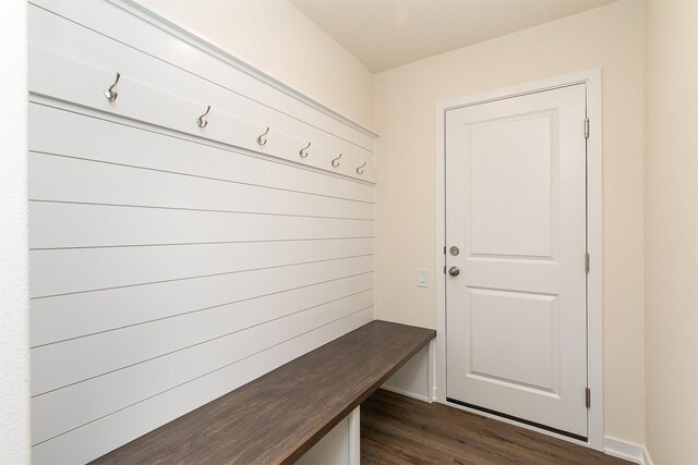 mudroom featuring dark wood-type flooring