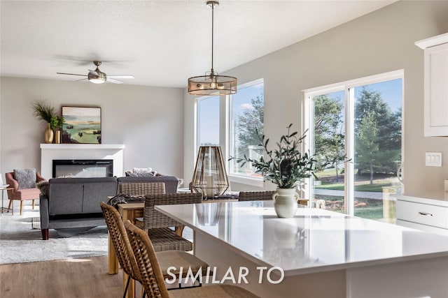 dining space with wood-type flooring and ceiling fan with notable chandelier