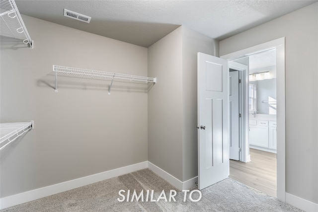 spacious closet with light carpet