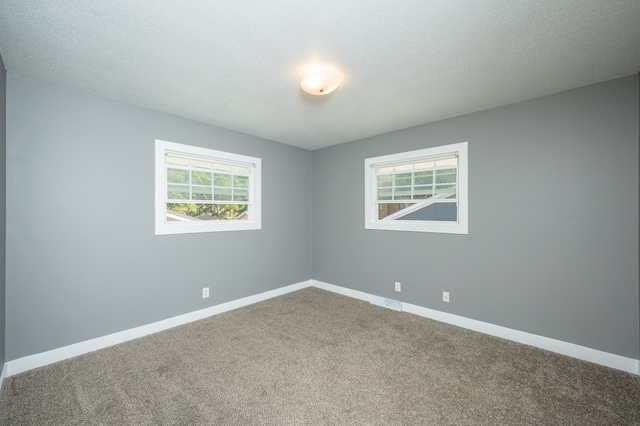 empty room with carpet flooring and a healthy amount of sunlight