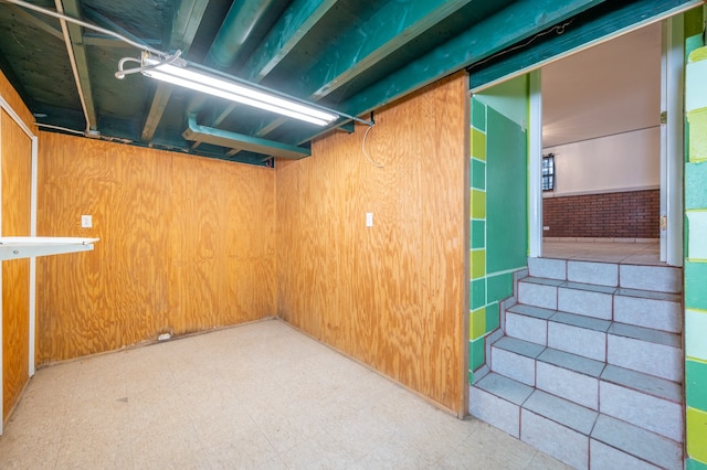 basement with wooden walls