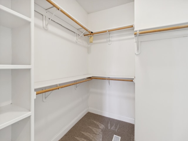 spacious closet with carpet