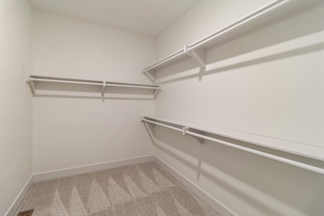 walk in closet with light colored carpet