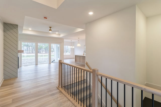 hall featuring a tray ceiling and light hardwood / wood-style flooring