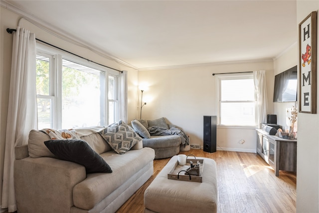 living room with crown molding and light hardwood / wood-style flooring