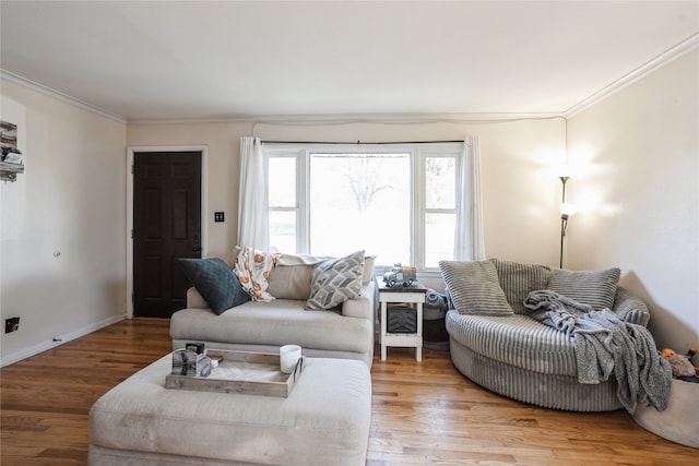 living room featuring ornamental molding and light hardwood / wood-style flooring