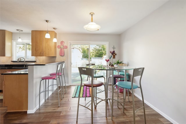 dining area featuring dark hardwood / wood-style floors