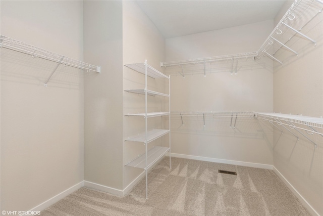 spacious closet featuring carpet floors