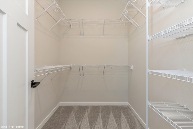 spacious closet featuring carpet flooring