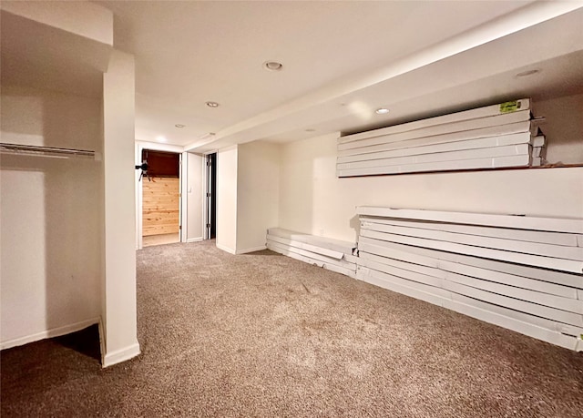 basement featuring carpet