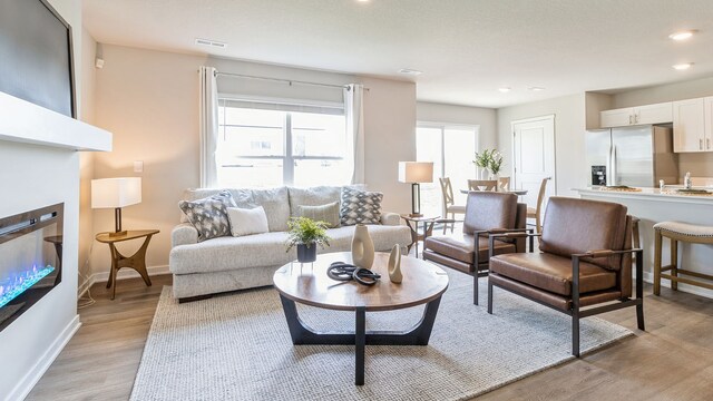 living room featuring light hardwood / wood-style floors and sink