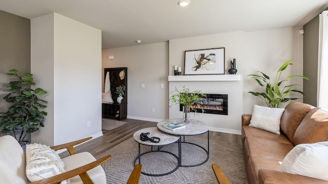 living room with wood-type flooring