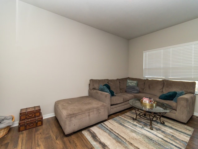 living room featuring dark hardwood / wood-style flooring