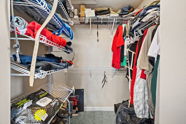 walk in closet with carpet floors