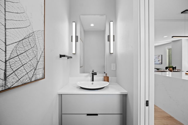 bathroom with wood-type flooring and vanity