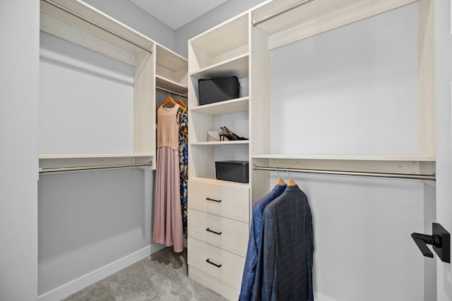 spacious closet featuring light colored carpet