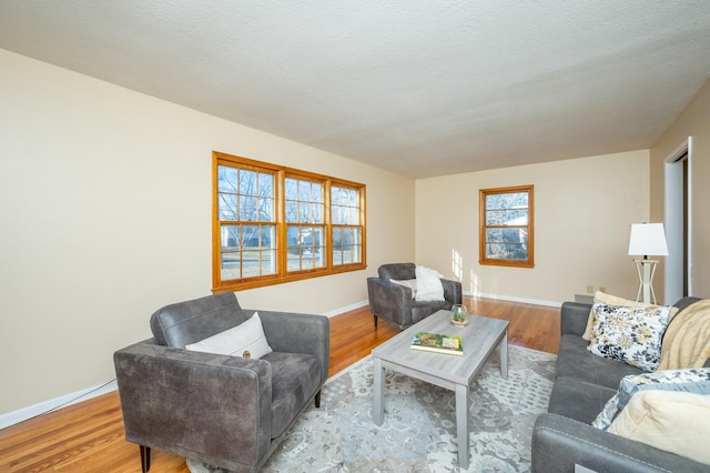 living room with a textured ceiling and light wood-type flooring