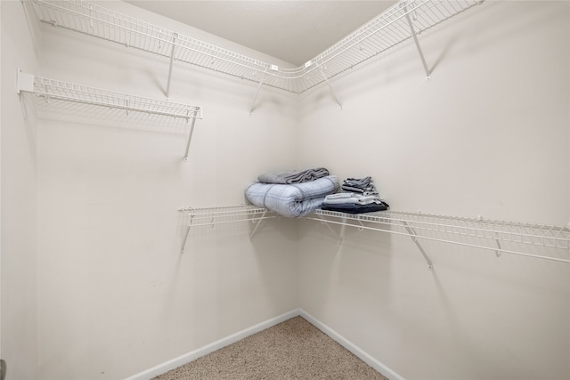 spacious closet featuring carpet flooring