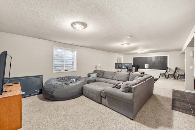 living room featuring carpet floors and a textured ceiling