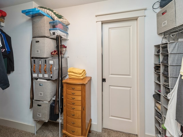 spacious closet featuring carpet flooring