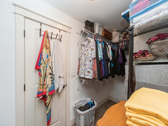 spacious closet featuring carpet