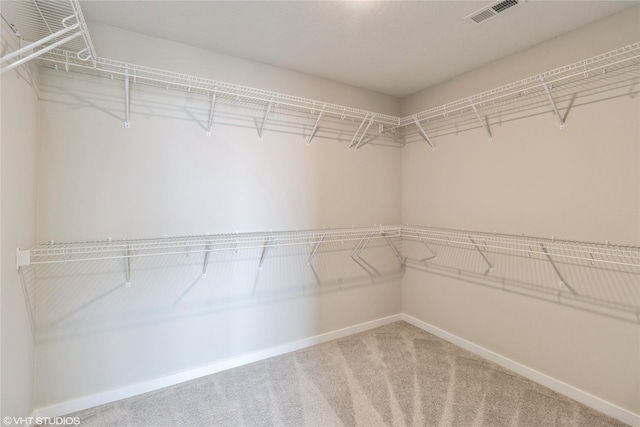 walk in closet with carpet floors