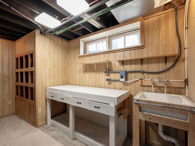 basement featuring wooden walls