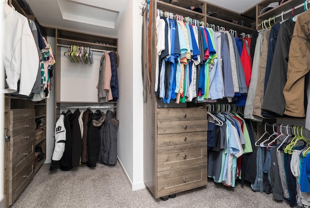 walk in closet featuring carpet floors