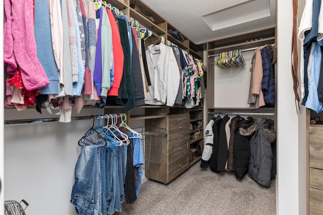 walk in closet featuring carpet