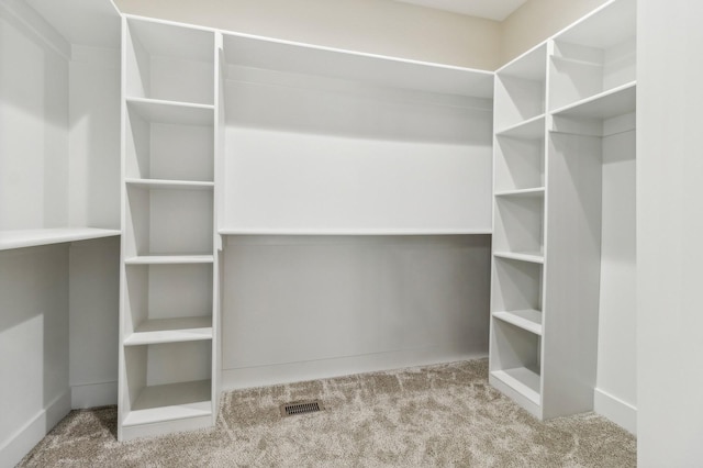 spacious closet with light carpet