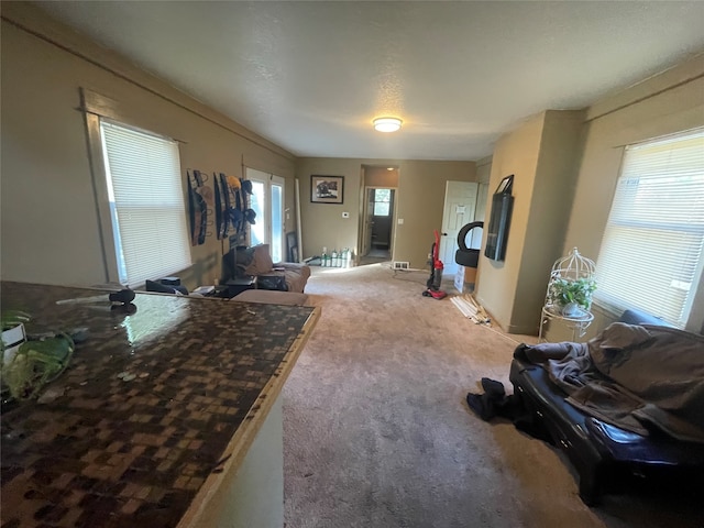 living room featuring plenty of natural light and carpet