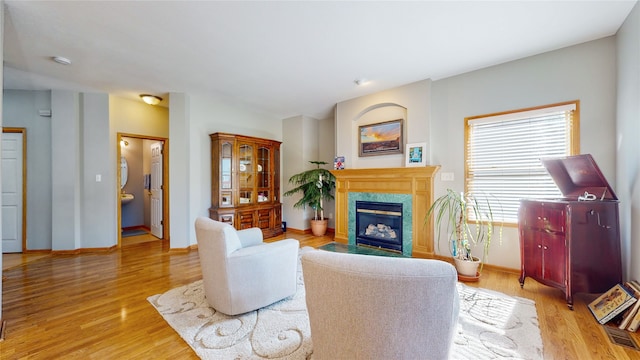 living room with a premium fireplace and light hardwood / wood-style flooring