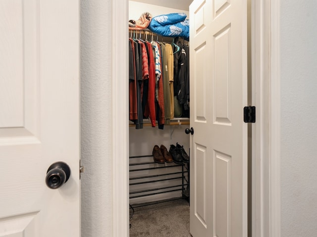 walk in closet with carpet flooring