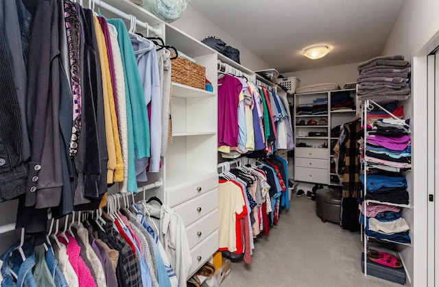 spacious closet featuring carpet floors